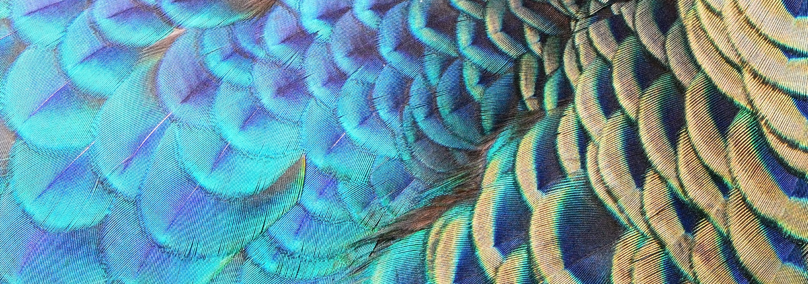 UNIQUE